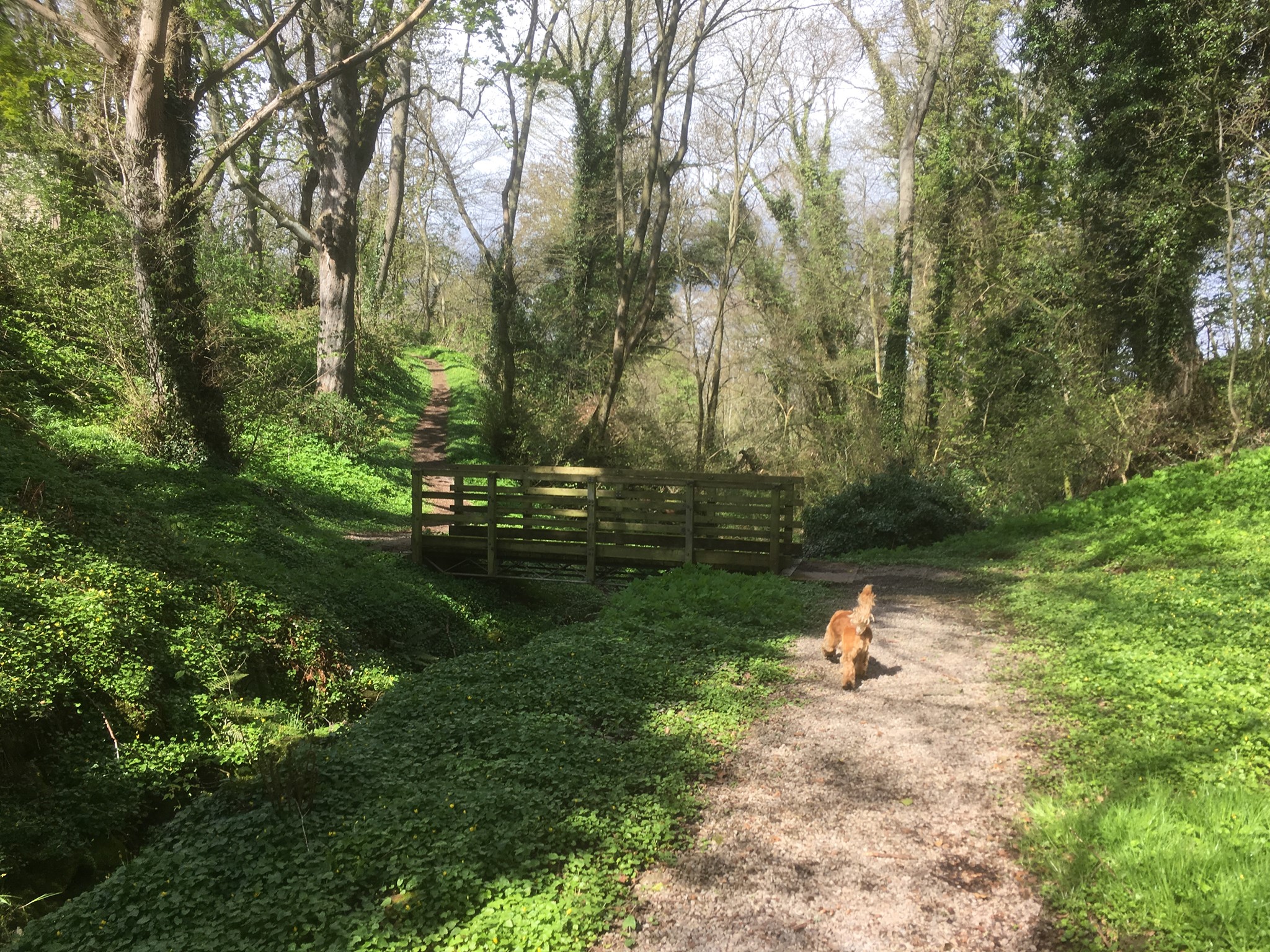 The Walk Easter Ross Peninsula