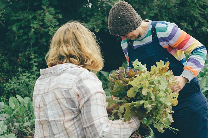 People working in the garden