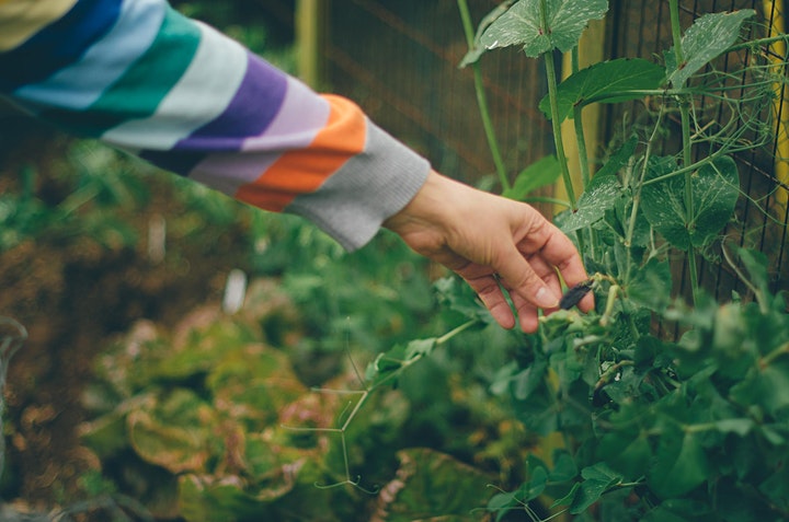 gardening