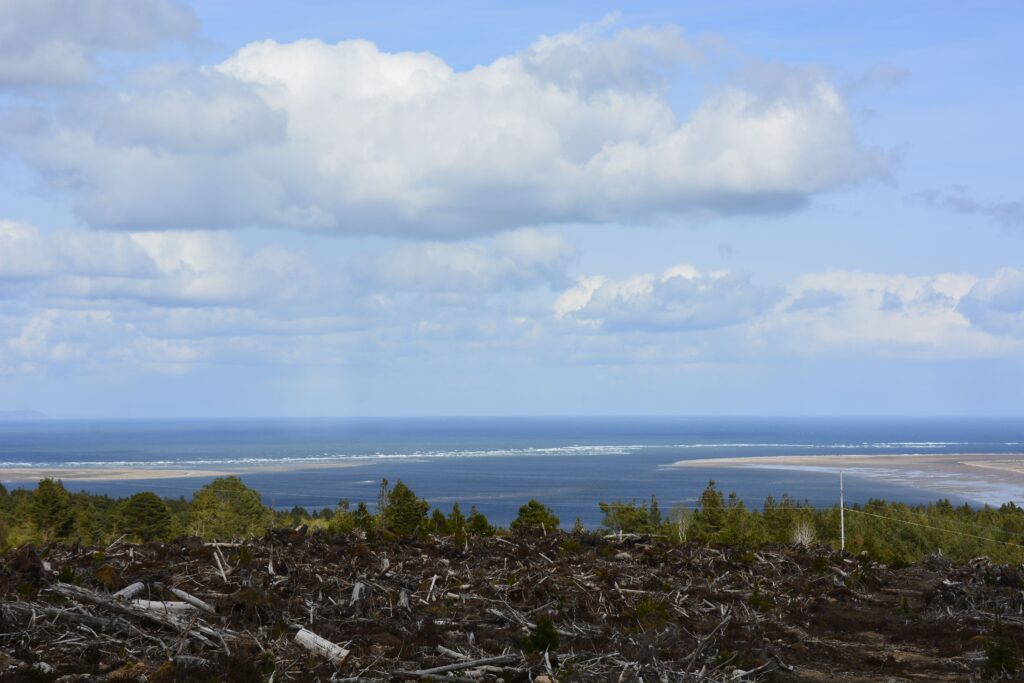 Picture of the sand bank in the Dornoch Firth