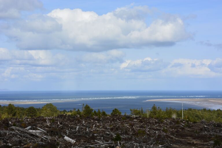 Easter Ross Peninsula - Escape To Somewhere Wonderful