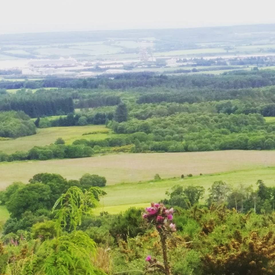 View from Scotsburn